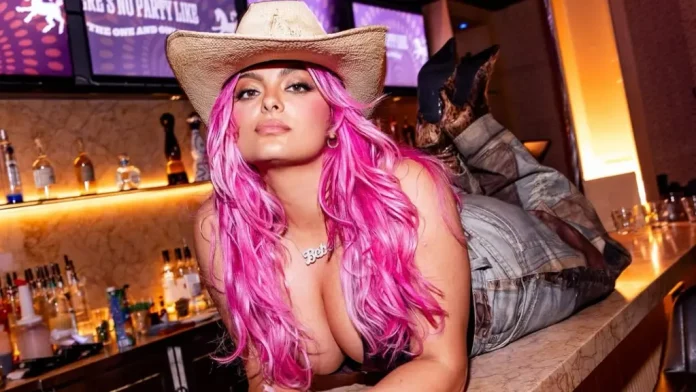 bebe-rexha-shfaqet-me-floke-roze-“camcakezi”-dhe-mahnit-ndjekesit