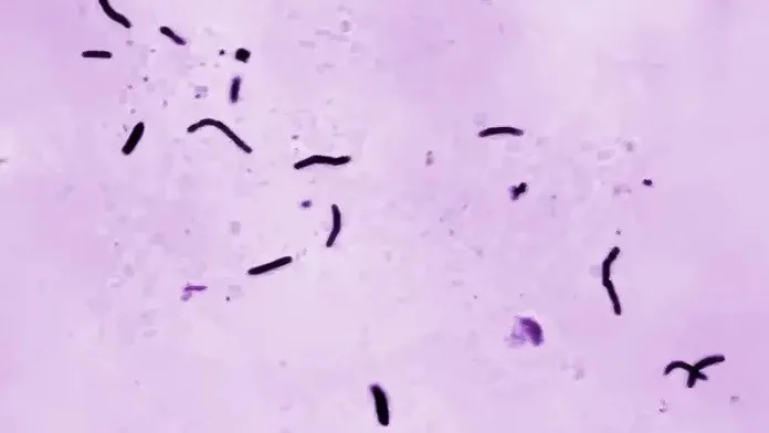 renia-e-vdekjeve-nga-tuberkulozi:-nje-shprese-e-re-per-shendetin-global