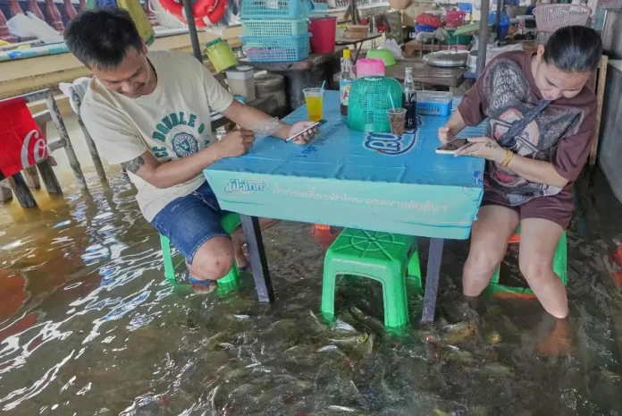 restoranti-i-permbytur-ne-tajlande:-nje-pervoje-unike-qe-magjeps-vizitoret