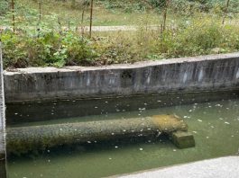 NPK “Sharri”: Uji në Tetovë është i sigurt për pije